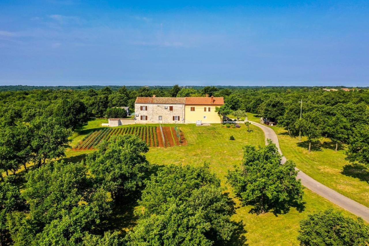 House Gracijela, Village Bulici Šajini 外观 照片
