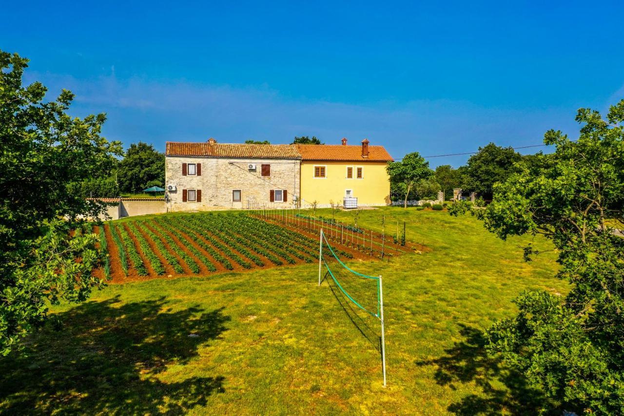 House Gracijela, Village Bulici Šajini 外观 照片
