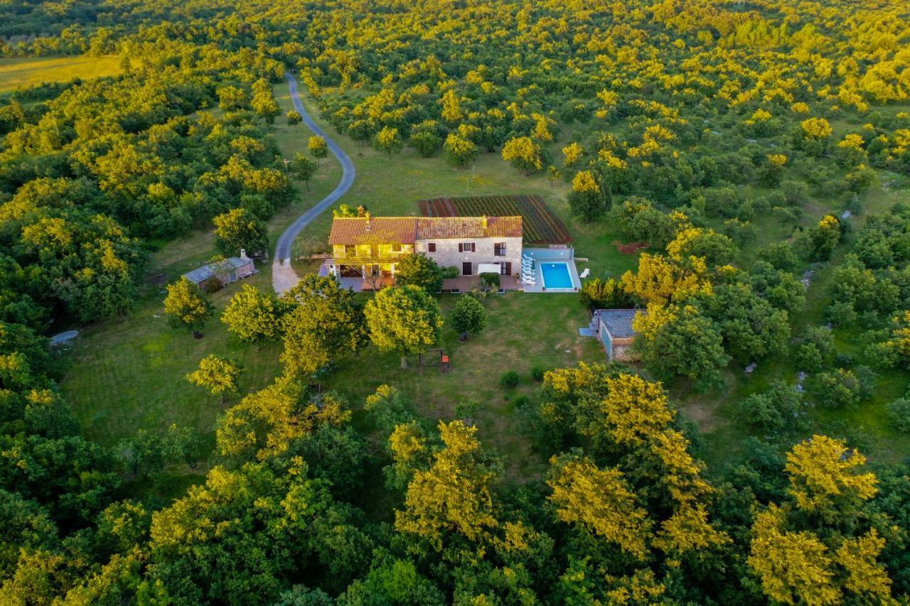 House Gracijela, Village Bulici Šajini 外观 照片